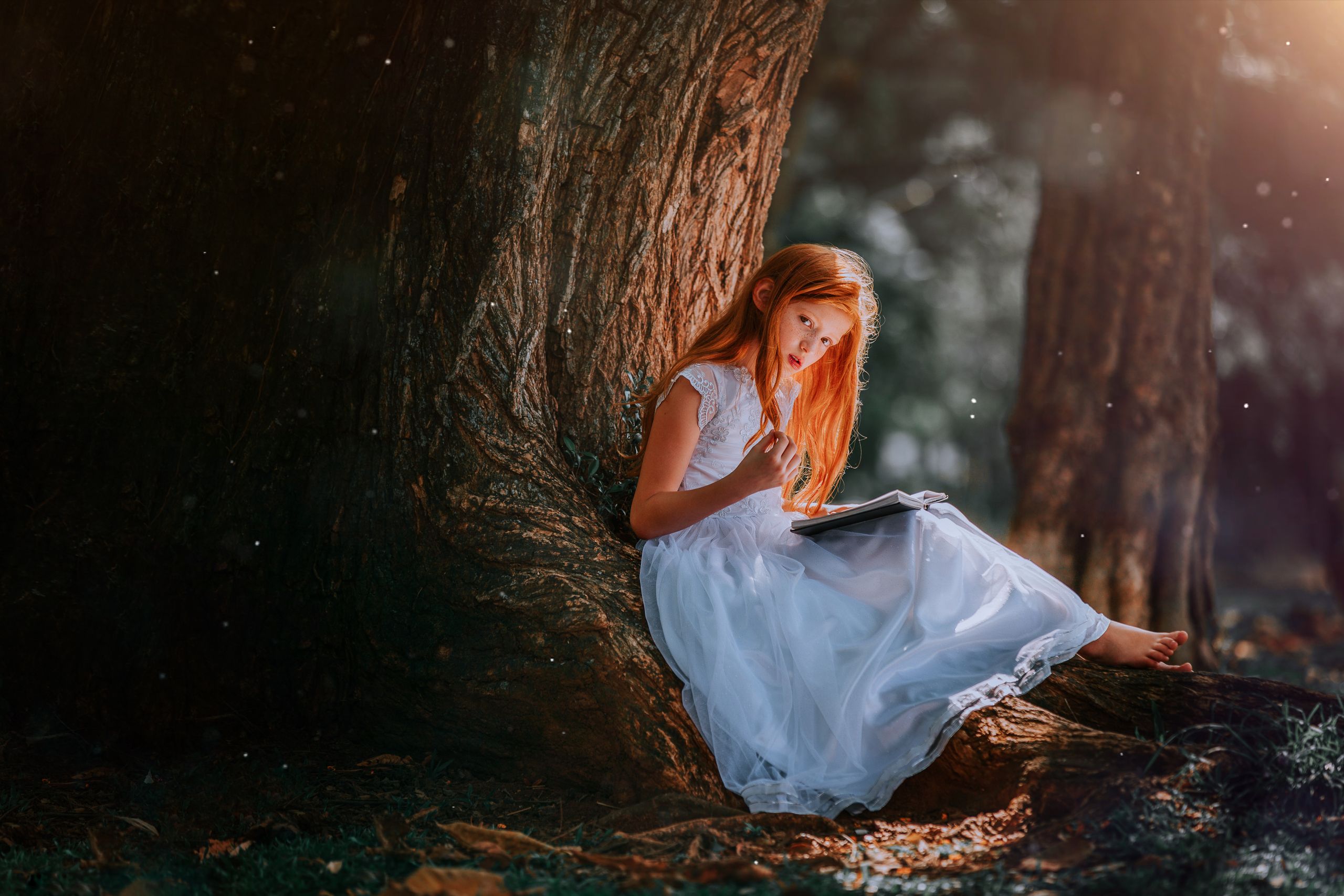 Перевод книги фэнтези